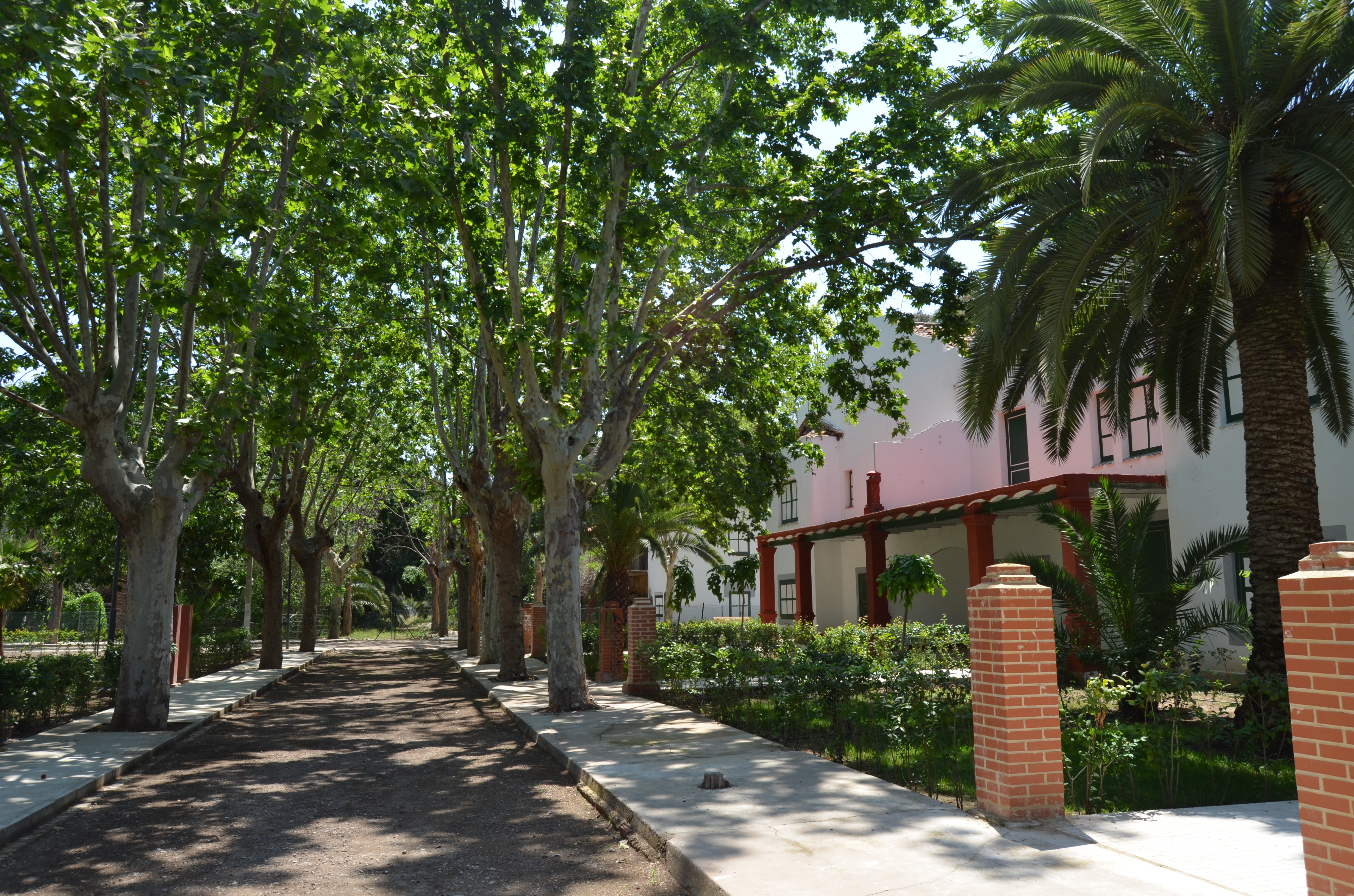 Imagen 2
