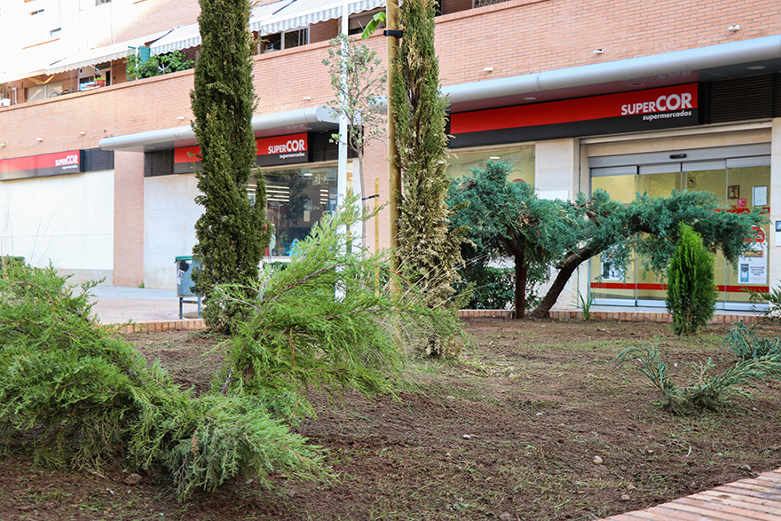 Imagen 2
