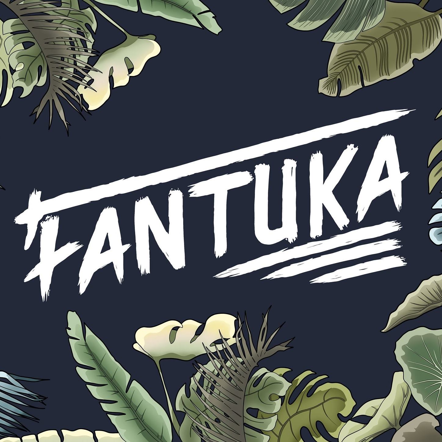 FANTUKA en concert