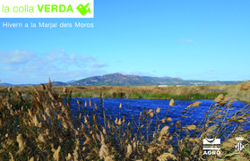 La Colla Verda convoca a la ciudadanía a colocar cajas nido para murciélagos en el Marjal dels Moros el sábado 25 de enero