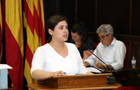 El Pleno aprueba solicitar al Ministerio de Fomento la colocación de una parada de autobús en Sagunto de la línea Valencia-Teruel
