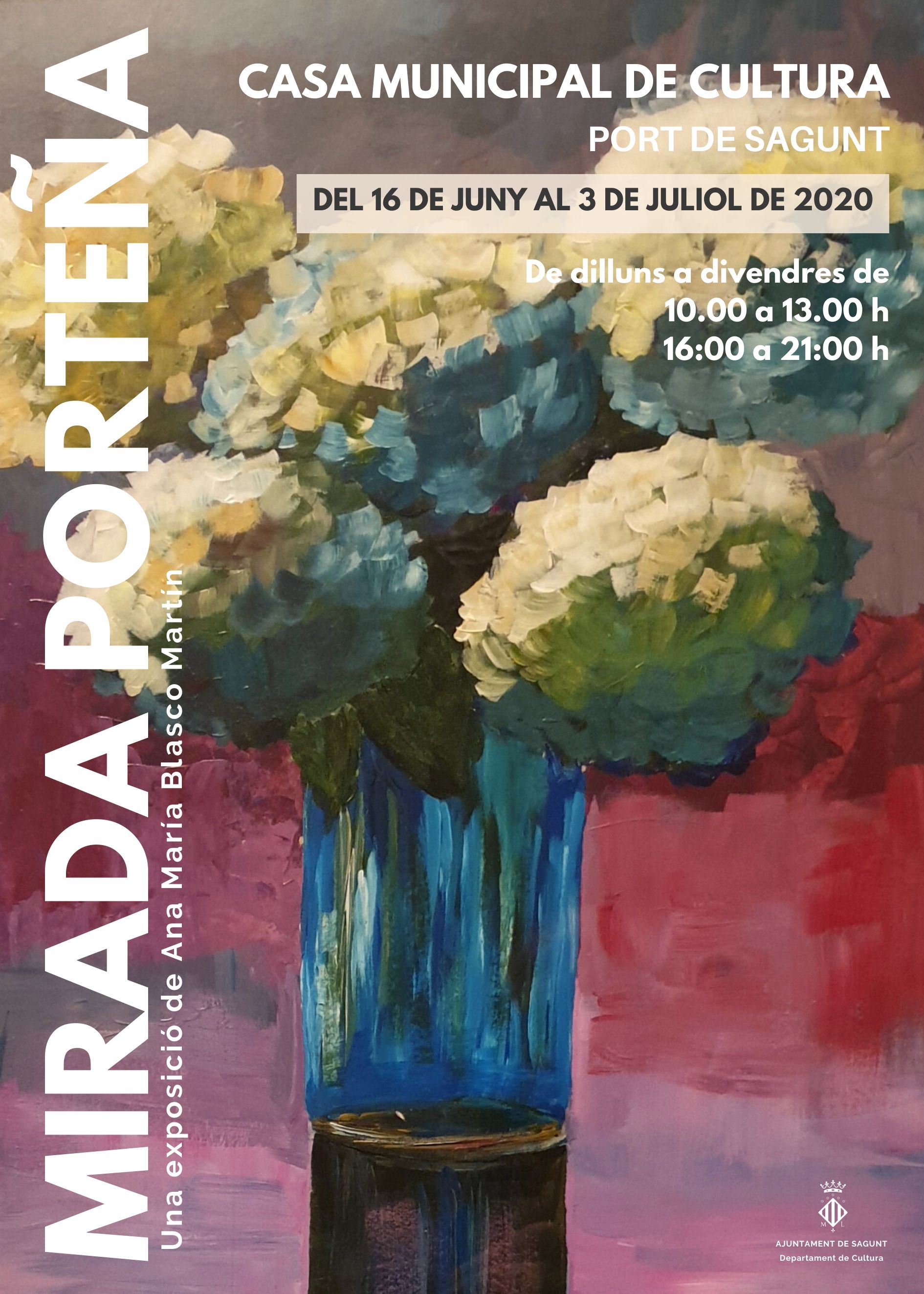 MIRADA PORTEÑA