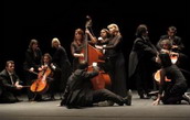 Orquestra de Cambra de l'Empordà .Concert Desconcertant