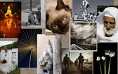 Exposición Fotográfica