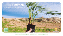 La Colla Verda y Acció Ecologista Agrò retoman sus actividades en la montaña del Castillo 