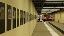 El Grupo fotográfico ARSE y su presidente, Juan Higueras, exponen sus obras en la prestigiosa Art Quake Kyoto 2017